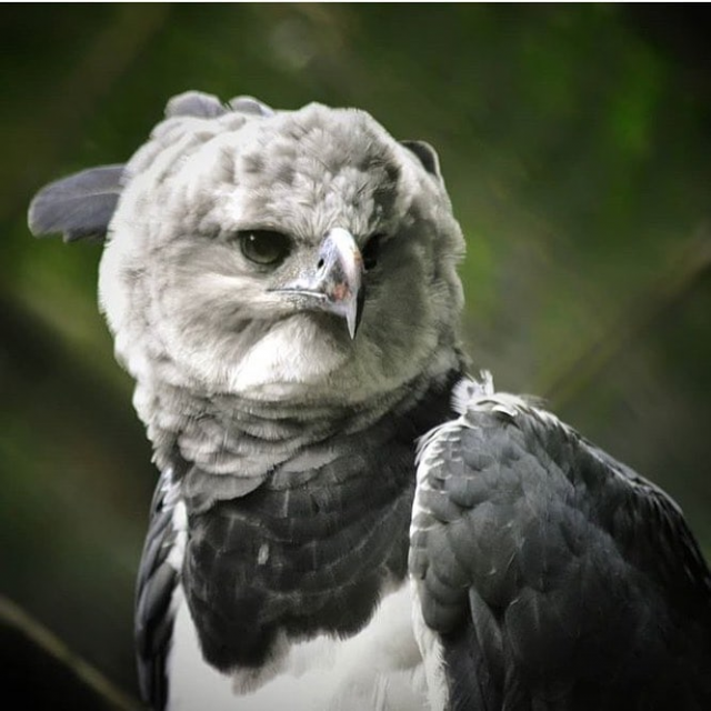 ���� � �����: ���������� �������� ���������������� ������ (15 ����)