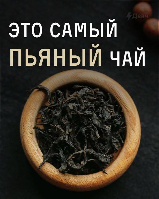 ����� ������� ��� (5 ����)