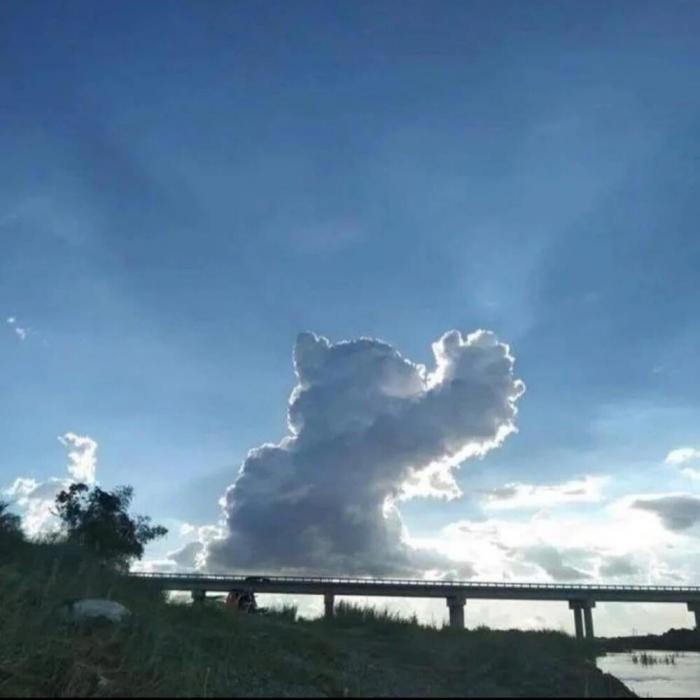 "����������": �������� ������������� ���������� (32 ����)