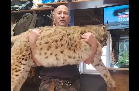 ����� ������� �����... (�����)