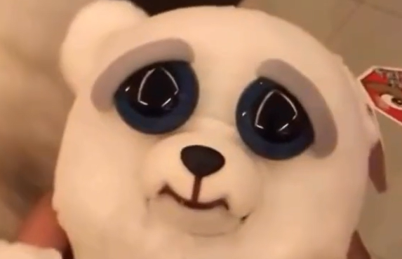 ������ ��� ��������� (�����)