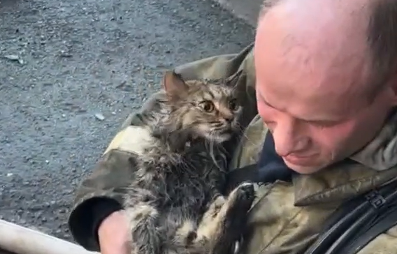 � ������ ����� ������ ������������� ������ (�����)