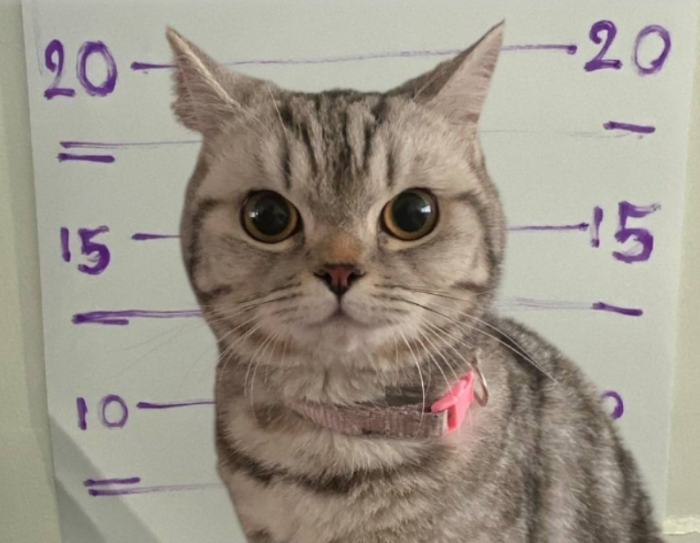 � �������� ���� ���������� ��������� ����� ����� ��������� (2 ����)