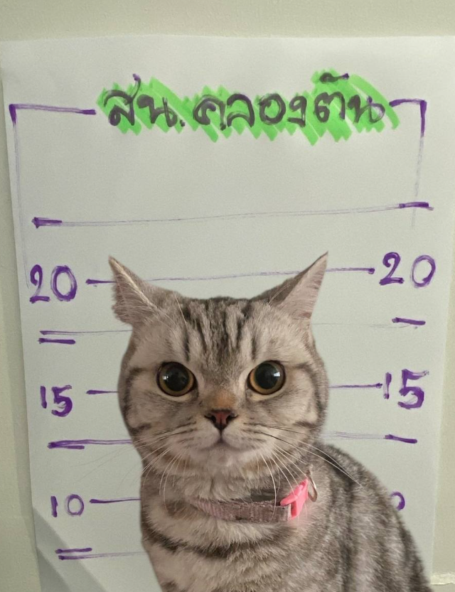 � �������� ���� ���������� ��������� ����� ����� ��������� (2 ����)