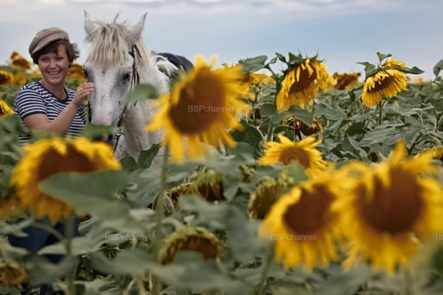 �������� �������� � ���������� ���������� ������ ���� (20 ����)