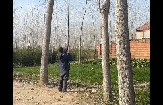 �� ������ �� ������ (�����)