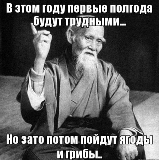 ������� �������� (15 ����)