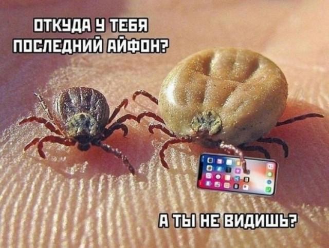 ������� ���� (15 ����)