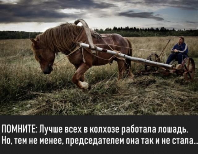 �������� ���������� ���� �3933 (30 ����)