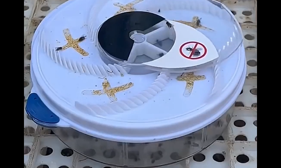 �������������� ������ ��� (�����)