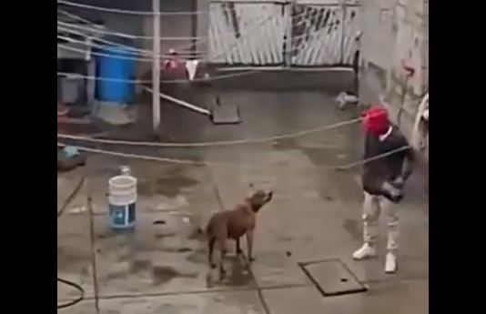 ����� � ������� (�����)