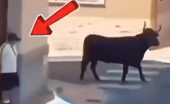 ���� ����... (�����)