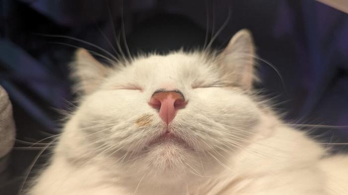 ������� ������� (25 ����)