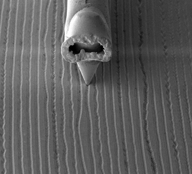 ���������������� ������ ��������� ��������� � ���� (4 ����)