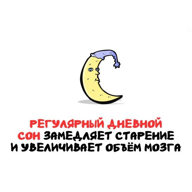 ���������� ����� �� ��� ������ ����� (15 ����)