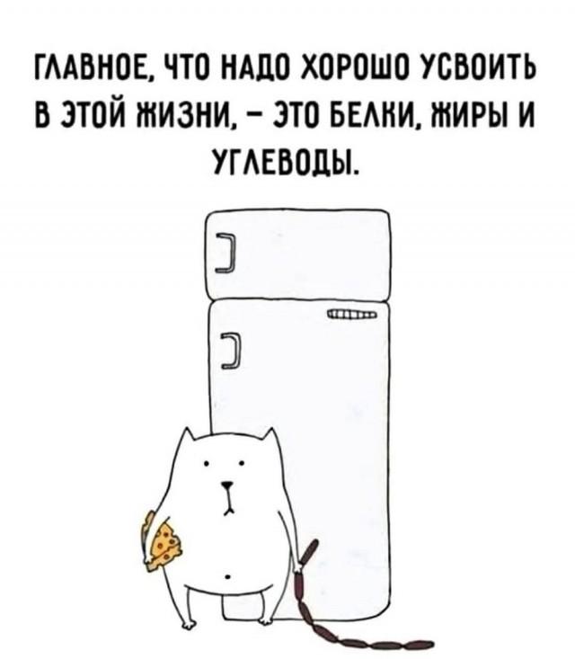 �������� ���������� ���� �3934 (30 ����)