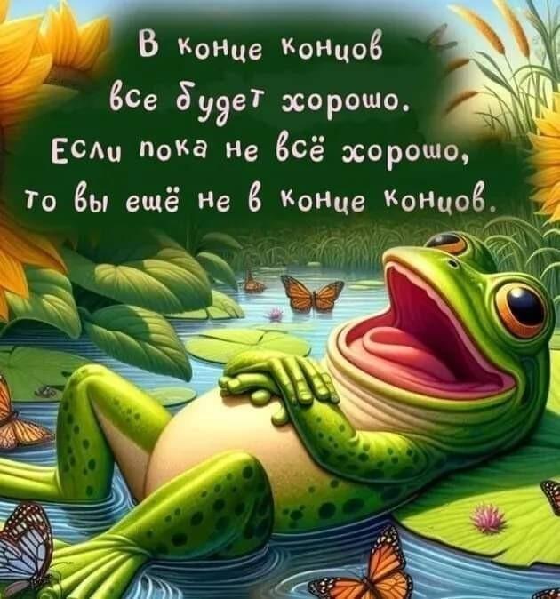 ������� �������� (15 ����)