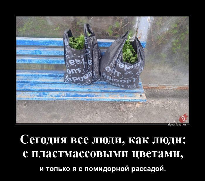 ������������ �3795 (20 ����)