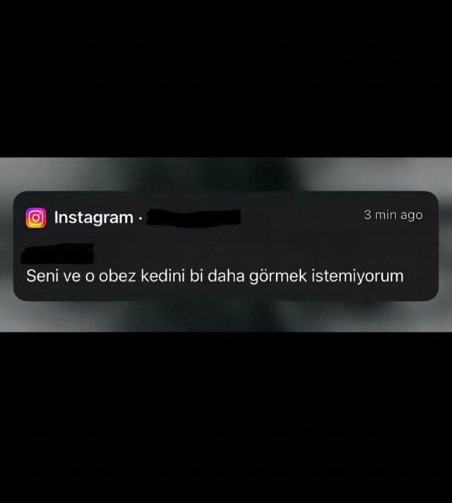 ������ ����������� ��������� ��������� �� ����� ������ ������� (5 ����)