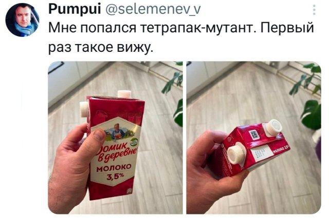 �������� �������� ������ ��� ���� (15 ����)