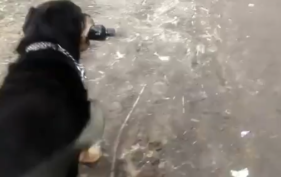 �������� �������, �� ���� "��*��" ������ �� ������ (�����)