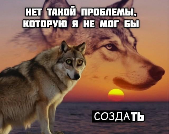 ������ ����� � ���� �� ���� (15 ����)