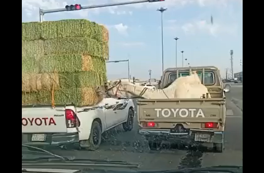 ���������� (�����)