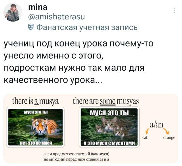 �������� �������� ������ ��� ���� (15 ����)