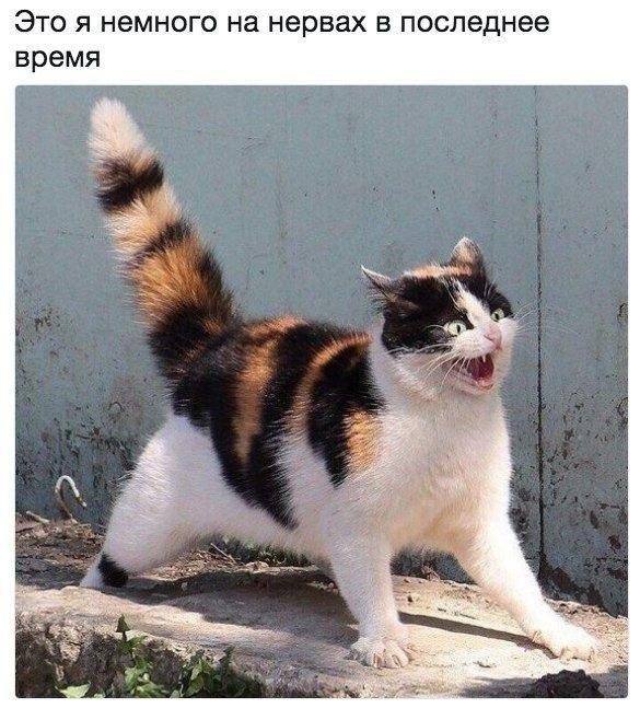 �������� ���������� ���� �3937 (30 ����)