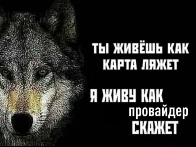 ������ ����� � ���� �� ���� (15 ����)
