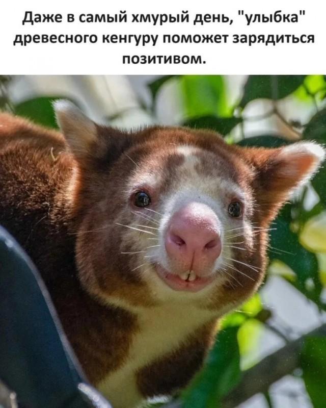 �������� ���������� ���� �3938 (30 ����)
