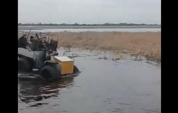 ��������, ����� �� �� ����� (�����)