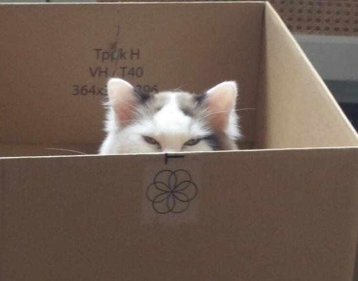 ������ ���� �������, � ������� ������� ���� ���� �� ������� (25 ����)