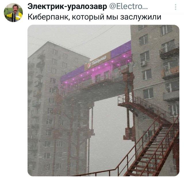 �������� �������� ������ ��� ���� (15 ����)