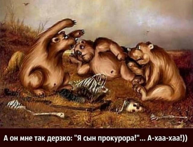 ������� ���� (15 ����)
