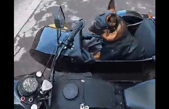 ���� ���� (�����)