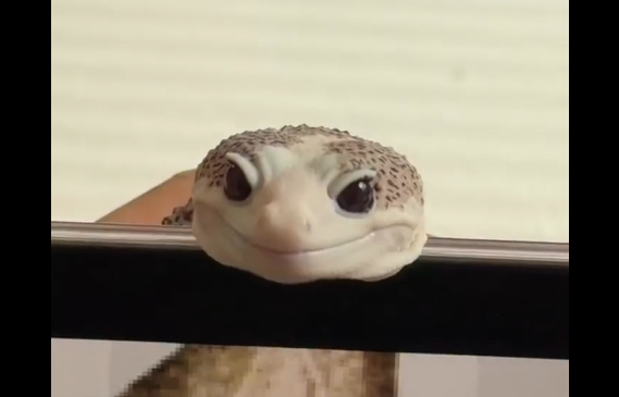 ��� � �� ��������? (�����)