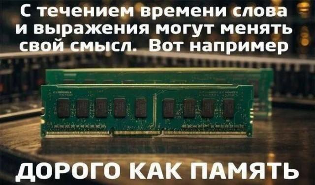 ������� �������� (15 ����)