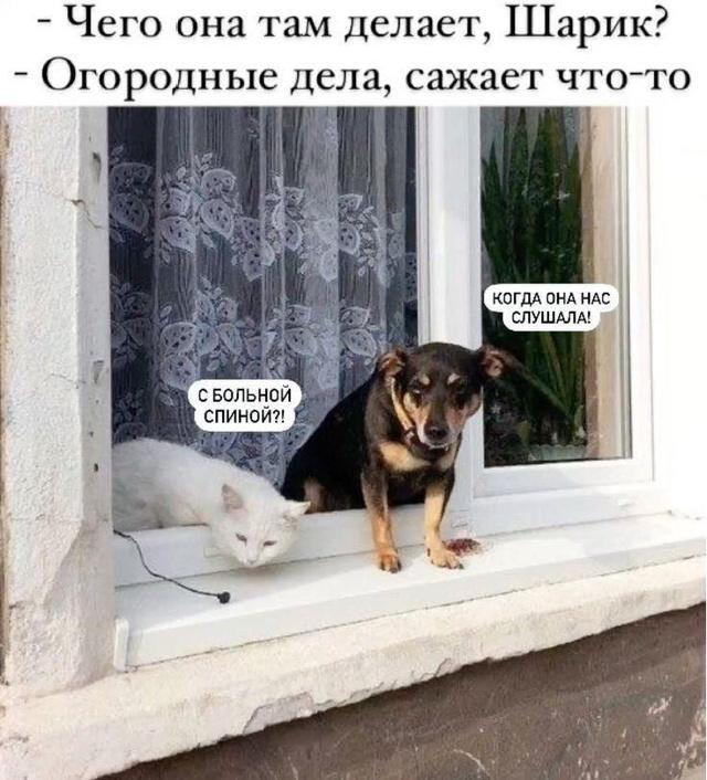 ������ ����� � ���� ��� ����� (15 ����)