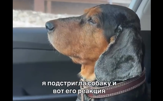 �� ����������� ������� (�����)