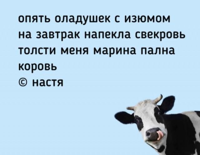 ������� �������� (15 ����)