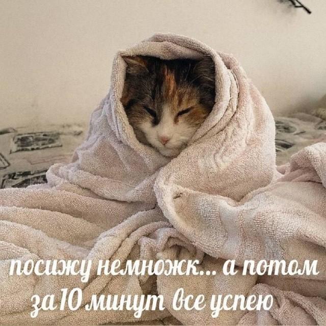 �������� ���������� ���� �3943 (30 ����)