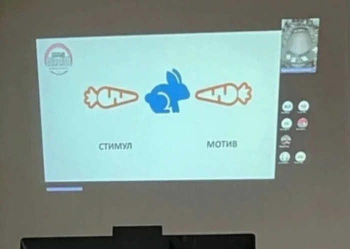 ������ ����� � ���� �� ���� (15 ����)