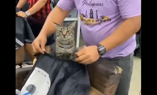 ������� ��� ������ ���� �������� �������������� (�����)