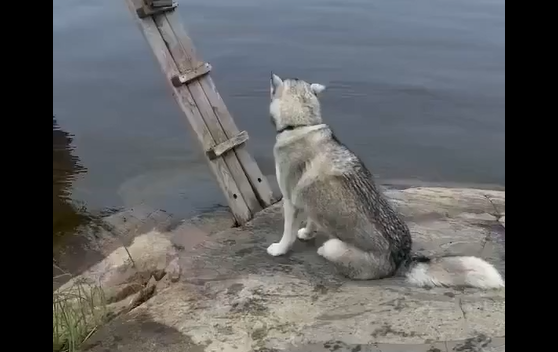 ����� ����������! (�����)