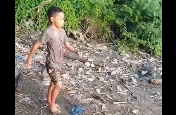 ���� (�����)