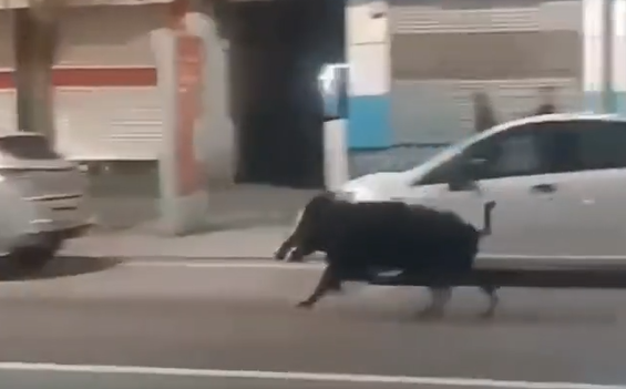������������ �� ������ �� ������������� ����� (�����)
