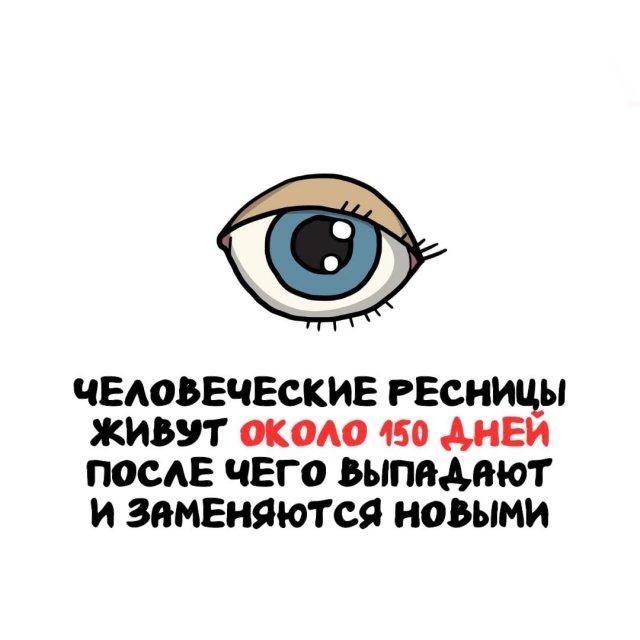 ���������� ����� �� ��� ������ ����� (15 ����)