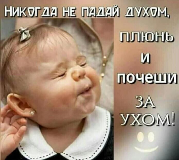 ������� �������� (15 ����)