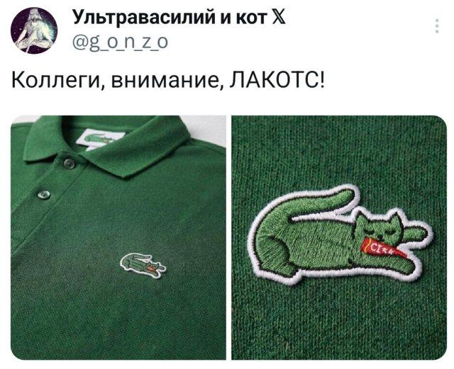 �������� �������� ������ ��� ���� (15 ����)